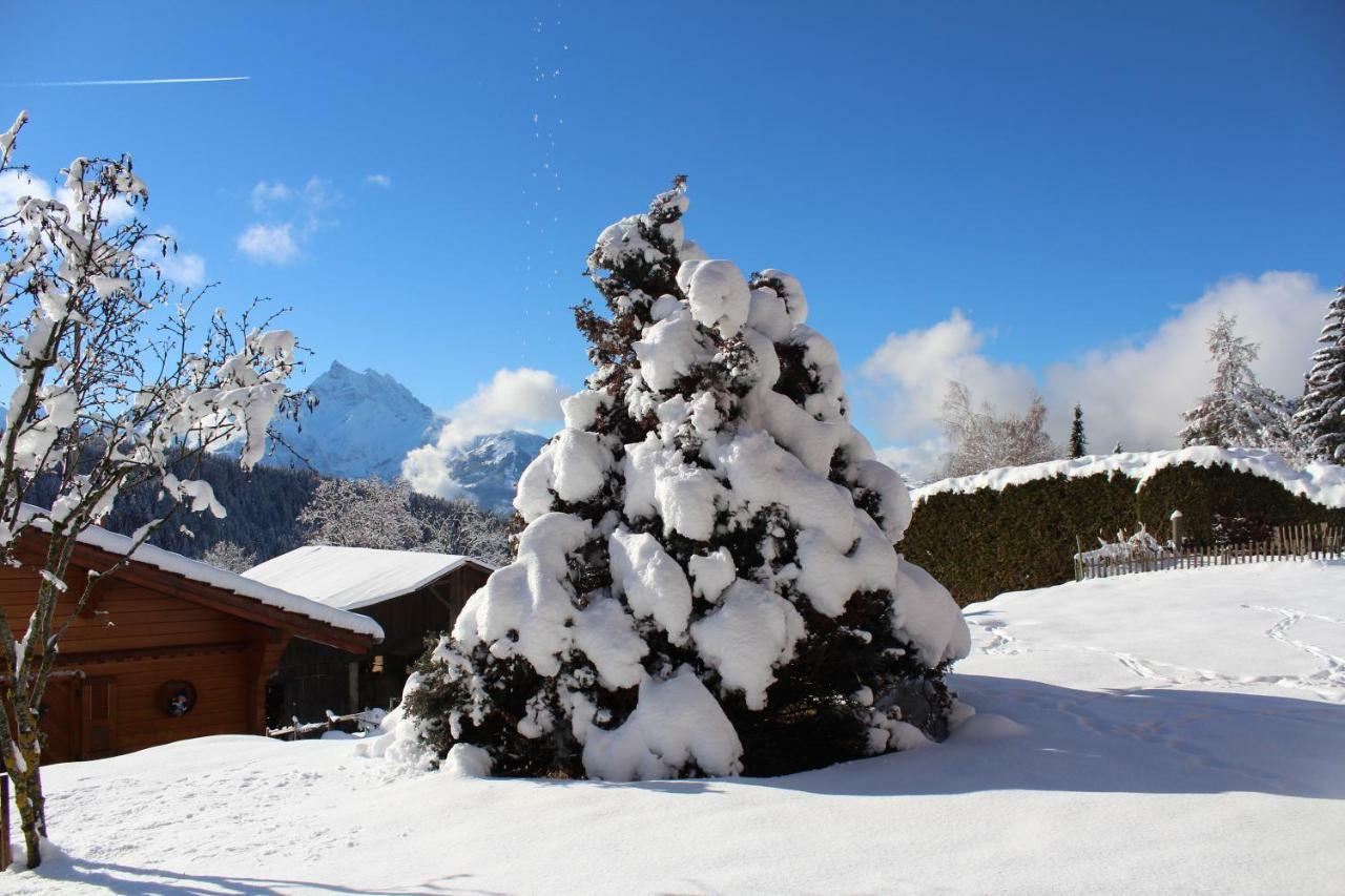 Chalet Le Slalom Arveyes Exterior foto