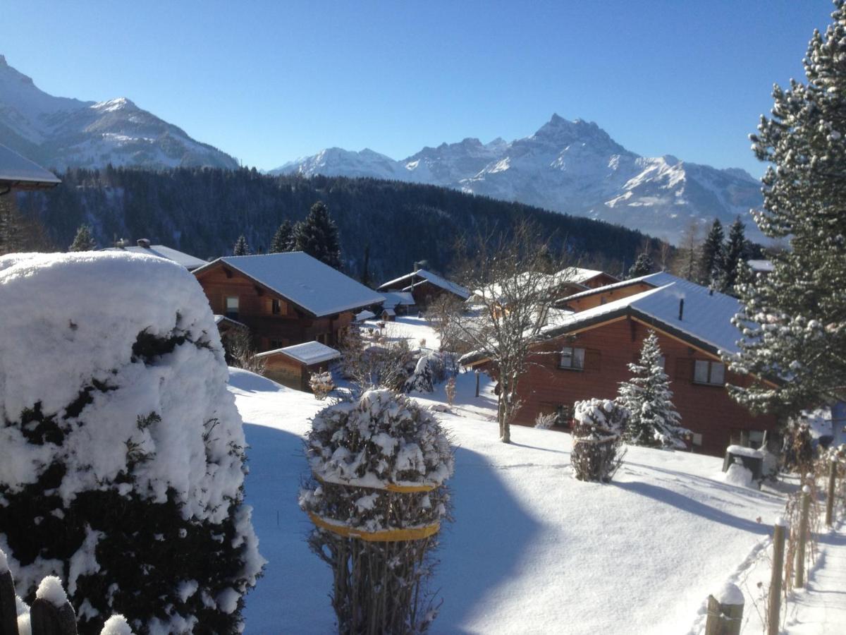 Chalet Le Slalom Arveyes Exterior foto